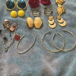 Assorted Pierced Costume Earrings